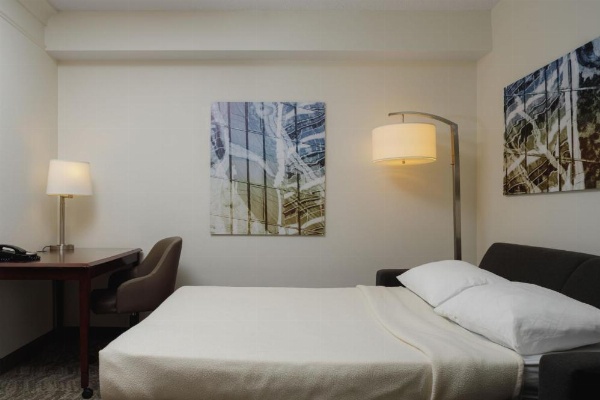 SpringHill Suites by Marriott Knoxville at Turkey Creek image 11
